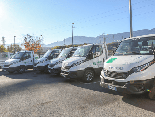 PICHLER daily 11.2024